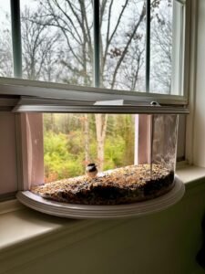 Window Bird Feeder