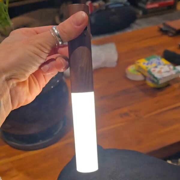 Removable Torch Lamp