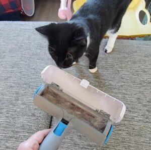 Pet Hair Remover