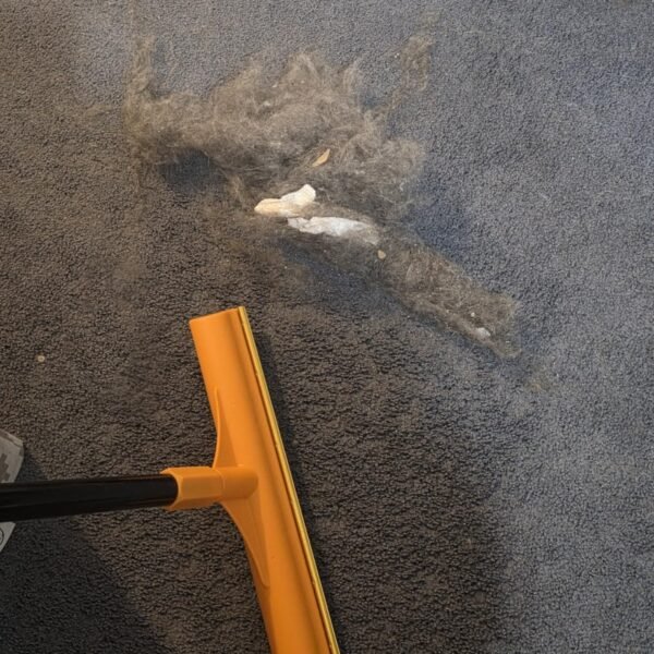 Pet Hair Rake