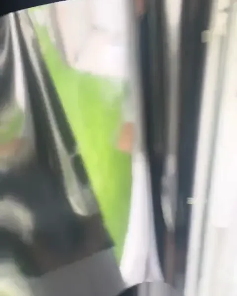 Window Privacy Screen