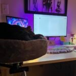 Desk Cat Bed