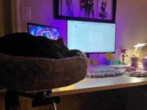 Desk Cat Bed