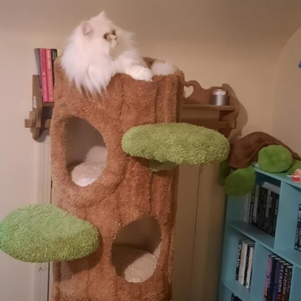 Premium Cat Tree