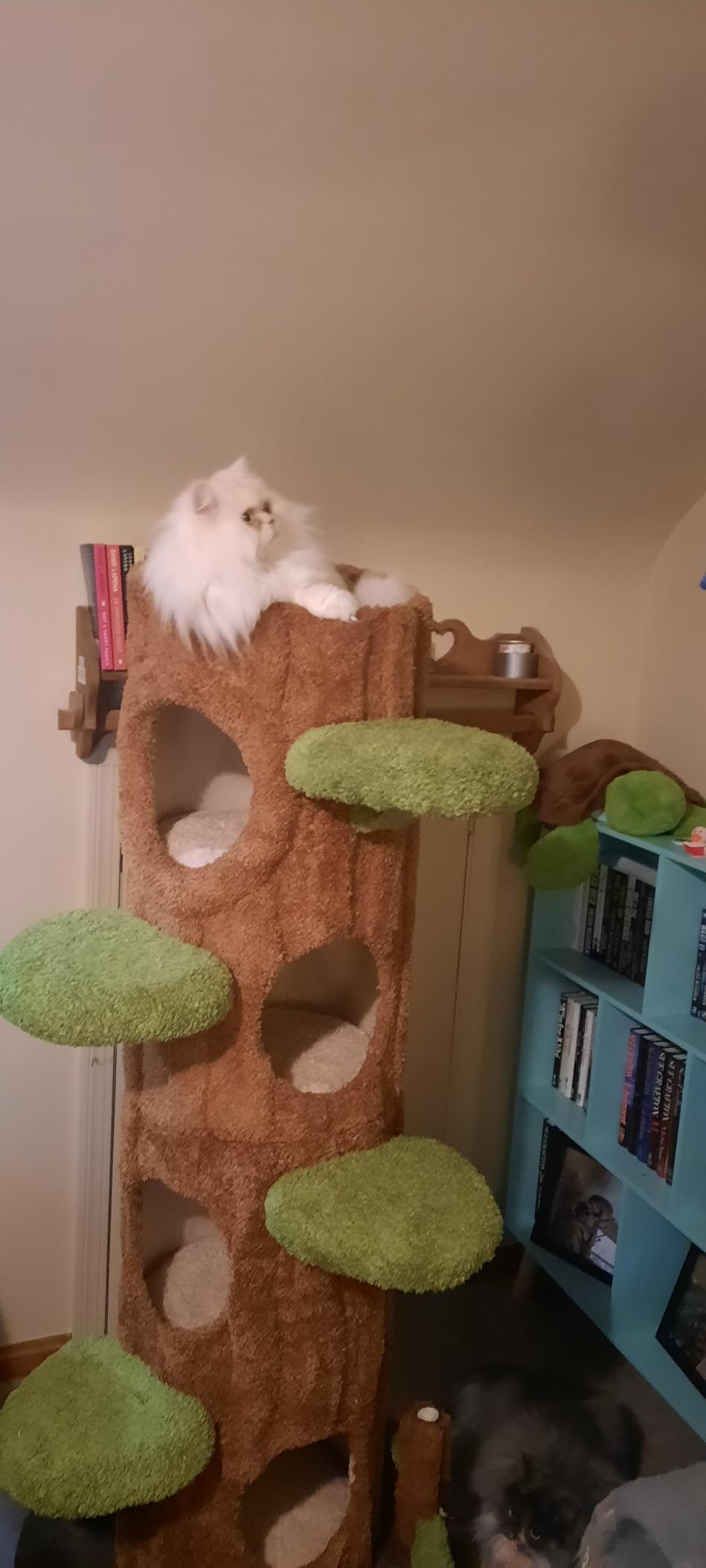 Premium Cat Tree