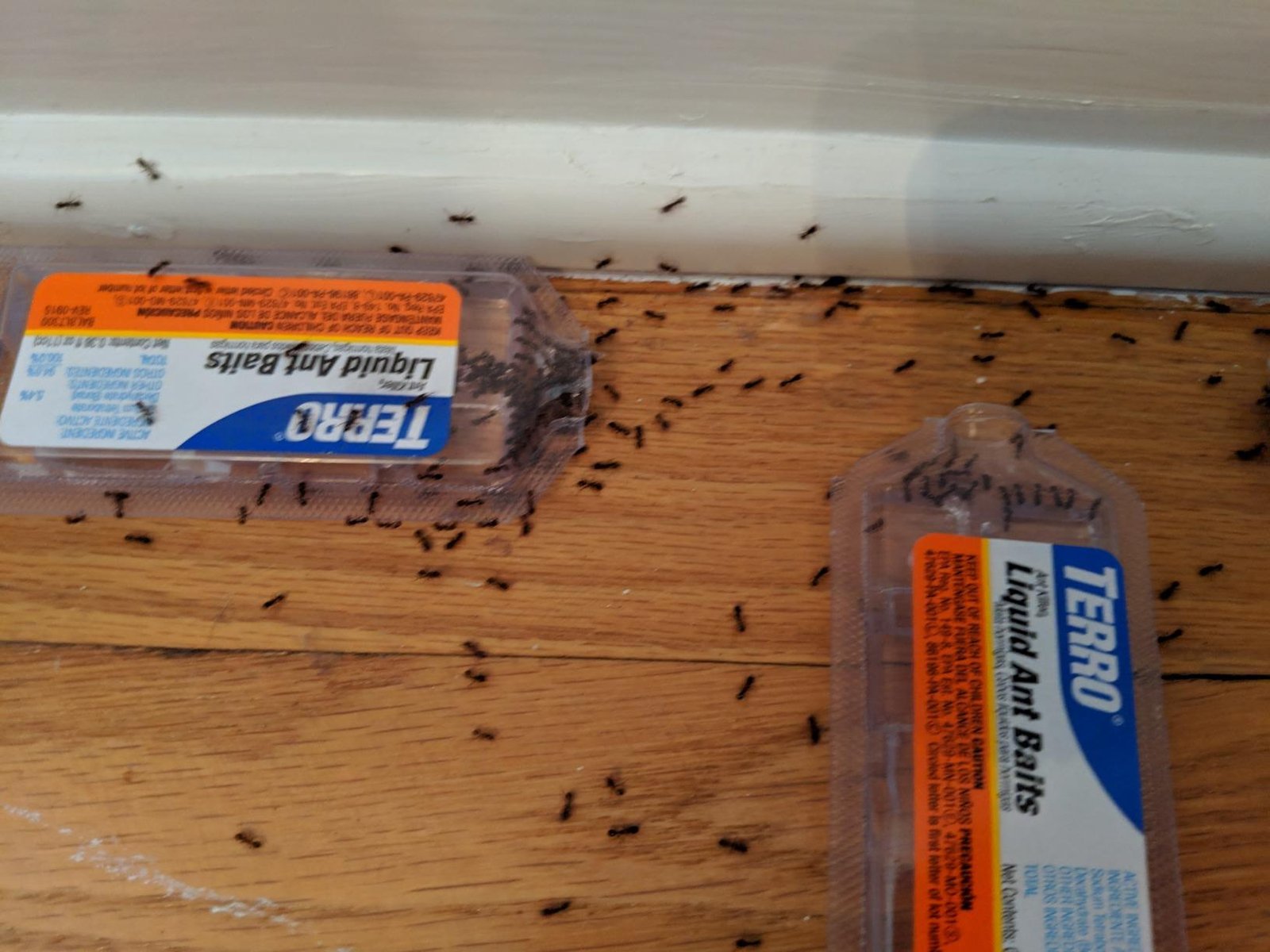 Tero Ant Gel