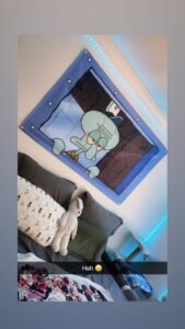 Judgy Octopus Wall Art