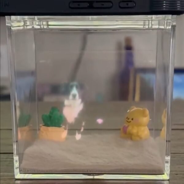 Pet Hologram Box